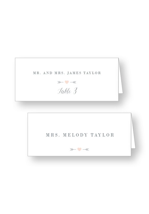 Silver Dust Place Cards